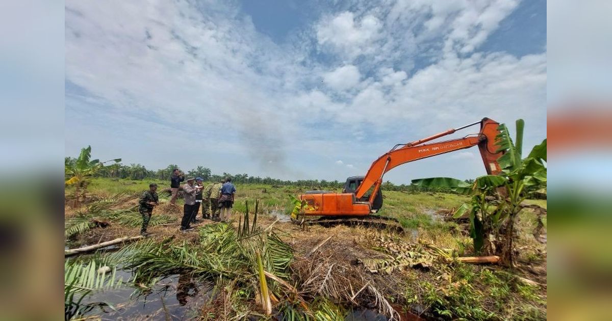 Kemenhut dan Satgas PKH Garuda Bersihkan Sawit Ilegal di SM Karang Gading Sumut