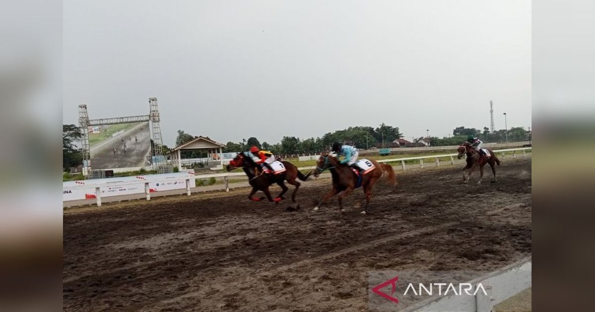 Antusiasme Tinggi di Kejuaraan Pacuan Kuda Bantul: 138 Kuda Bersaing Raih Triple Crown