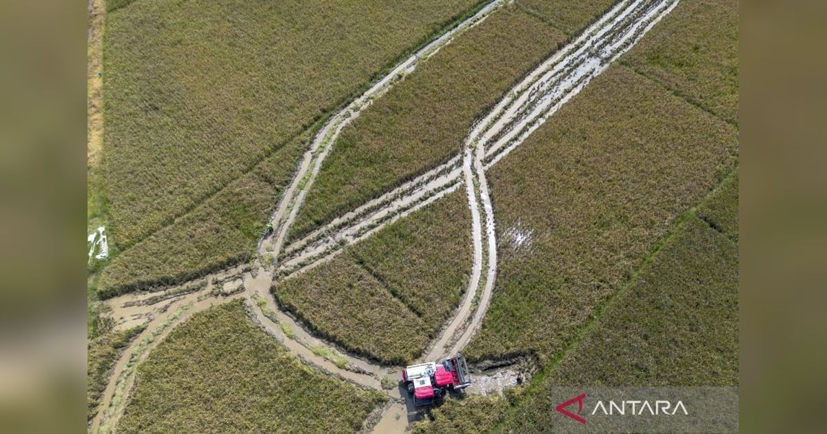 Indonesia Perkuat Sustainable Agriculture dengan Teknologi dan Optimasi Lahan