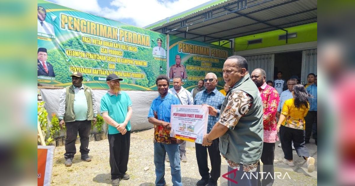 Papua Barat Targetkan Perdagangan Kulit Masohi Rp4 Miliar di 2026
