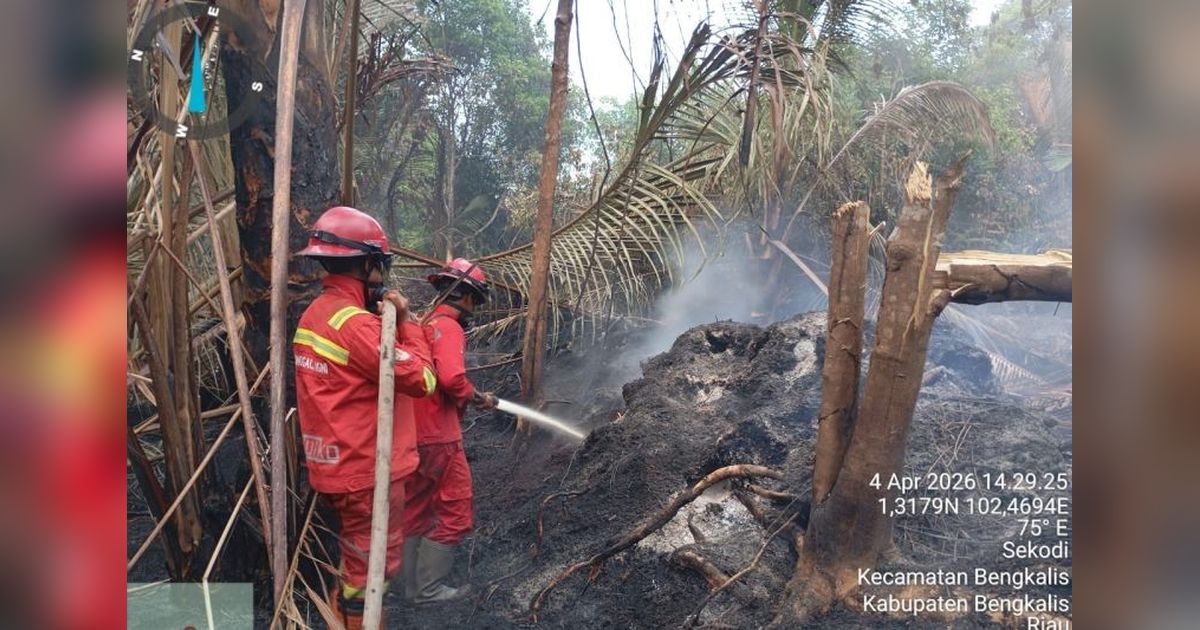 Manggala Agni Berjibaku Padamkan Karhutla Bengkalis Riau di Lima Desa