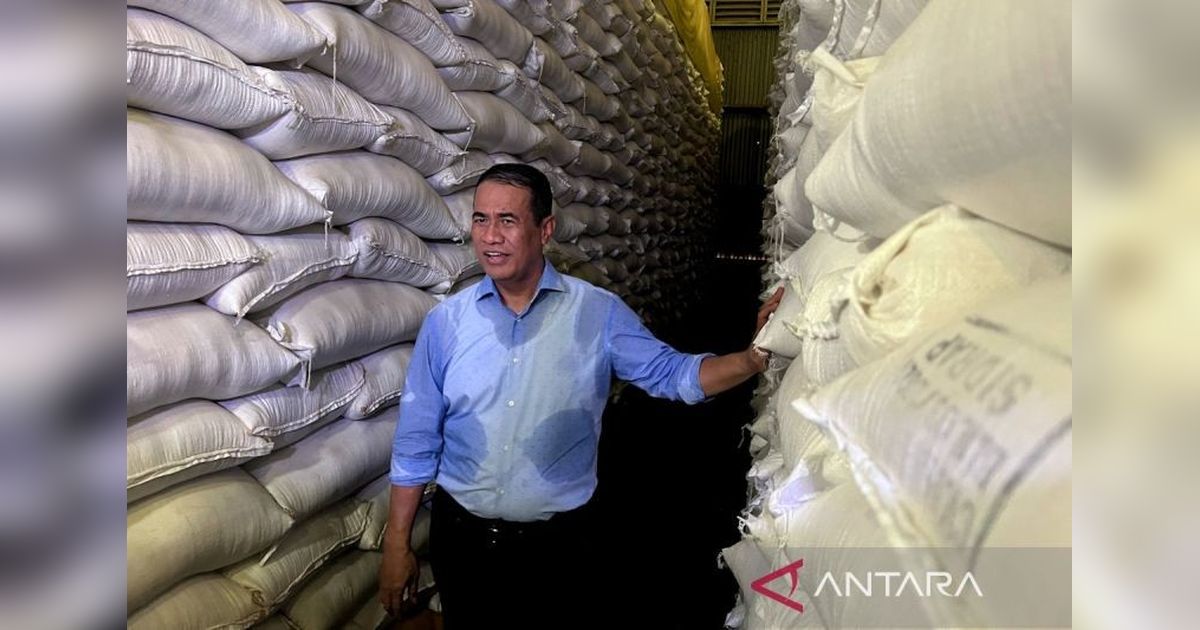 Cadangan Beras Nasional Indonesia Capai Rekor 4,5 Juta Ton, Jamin Ketahanan Pangan 11 Bulan ke Depan