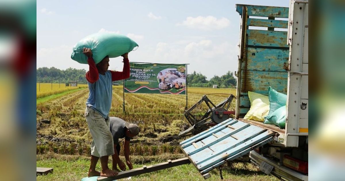 Sektor Pertanian Sumbang PDRB Madiun Rp27,48 Miliar pada 2025, Dominasi Ekonomi Lokal