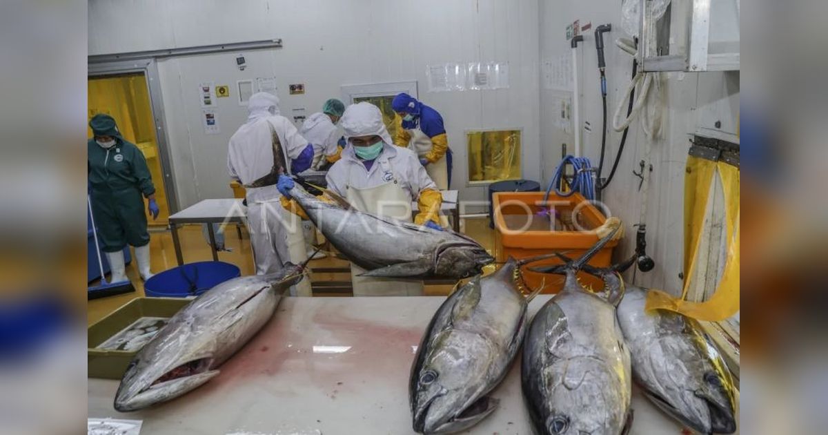 Kolaborasi Perikanan Indonesia Jepang: KKP dan JICA Perkuat SDM Kelautan dan Perikanan Nasional