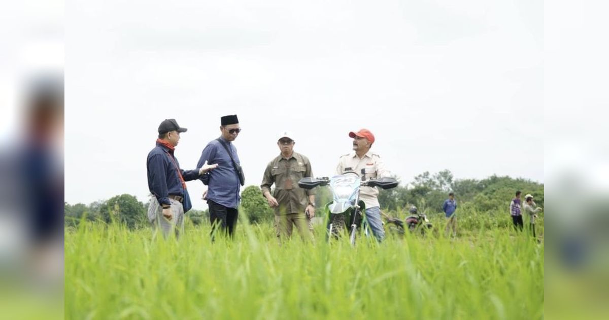 DPKP Kalsel Perkuat Irigasi Sawah 13 Km, Antisipasi Kemarau Panjang 2026