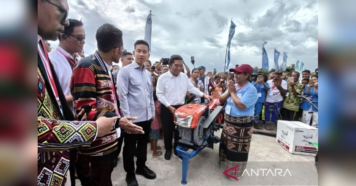 Wapres Gibran Apresiasi Hasil Tani Kupang untuk Suplai Program Makan Bergizi Gratis