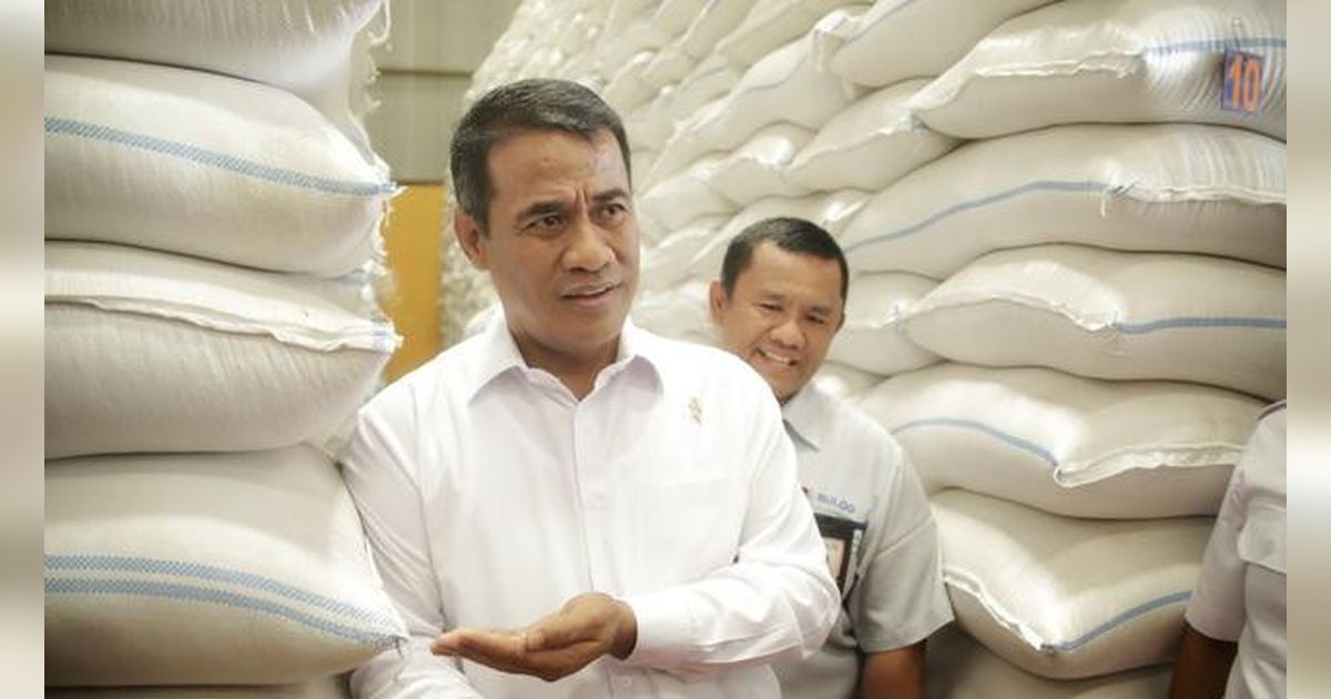 Stok Beras RI Tembus 4,6 Juta Ton, Siap Hadapi El Nino Godzilla dan Krisis Global
