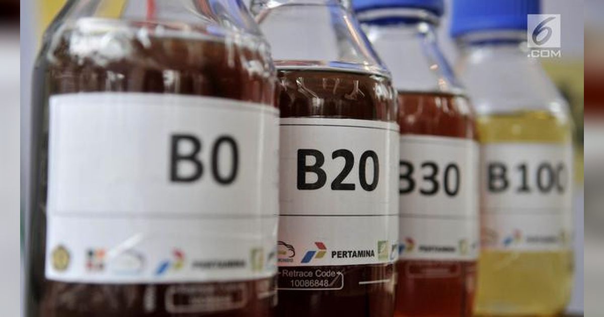 Selain Tambang, Pemerintah Perluas Uji Coba B50 ke Sektor Listrik dan Transportasi