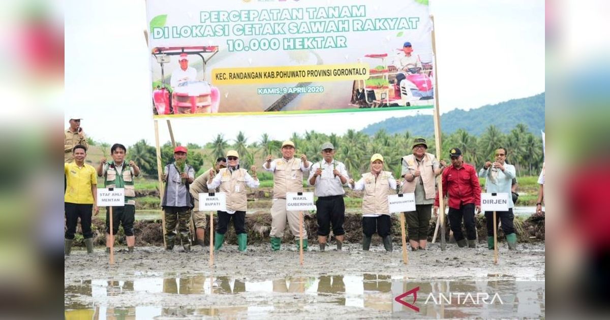 Wagub Gorontalo Idah Syahidah Turun Langsung Cetak Sawah Rakyat, Dorong Ketahanan Pangan Nasional