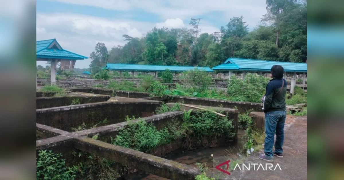 Revitalisasi Kolam Rejang Lebong: Pemkab Siapkan Proyek Percontohan Dongkrak PAD