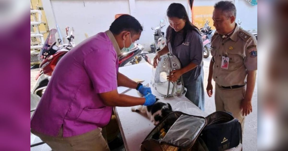 Sudin KPKP Gencarkan Vaksinasi Rabies Jakarta Barat di Tambora untuk Jaga Hewan Peliharaan