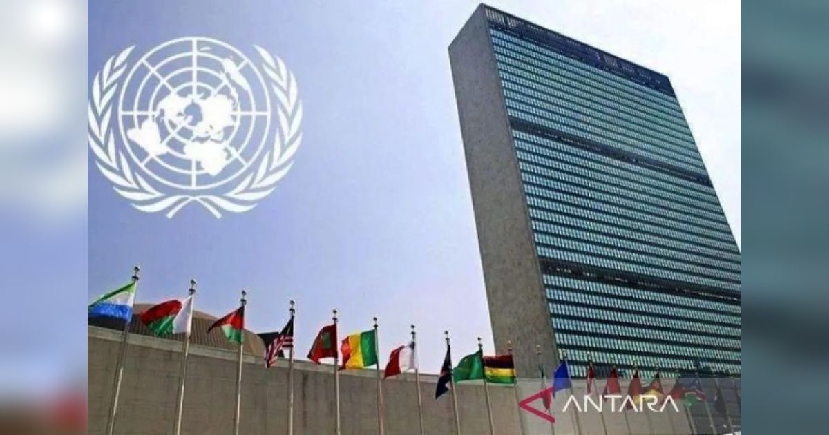 Indonesia Perangi Standar Ganda HAM di Dewan PBB, Dorong Pendekatan Konstruktif