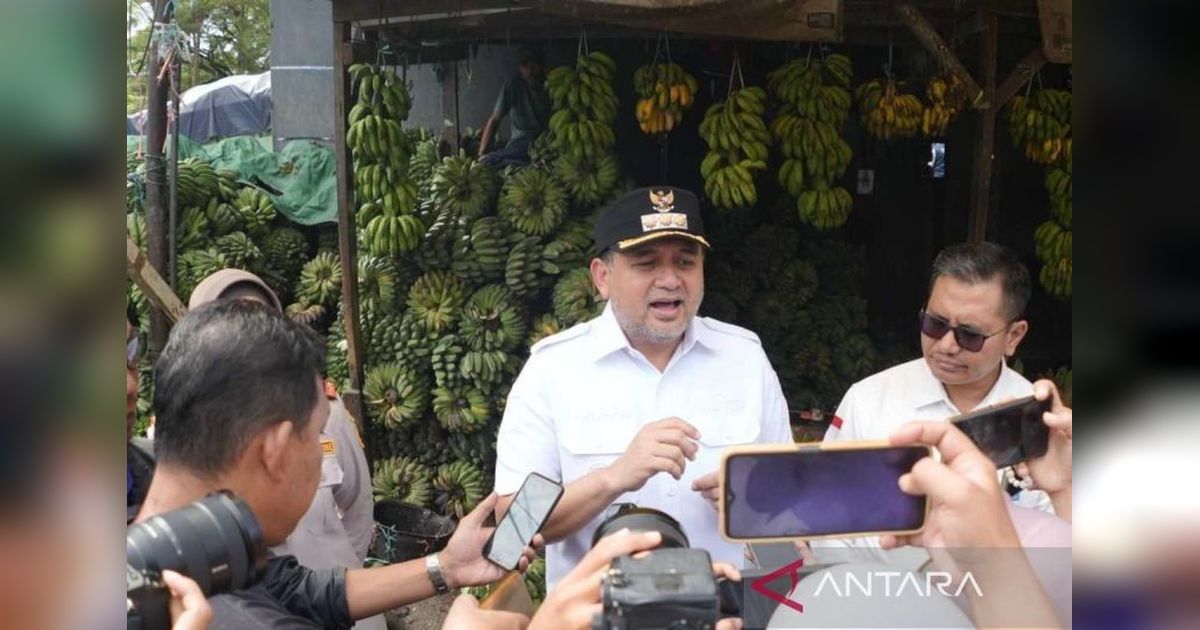 Wali Kota Makassar Dorong Kemandirian Pangan Berbasis Masyarakat Melalui Urban Farming