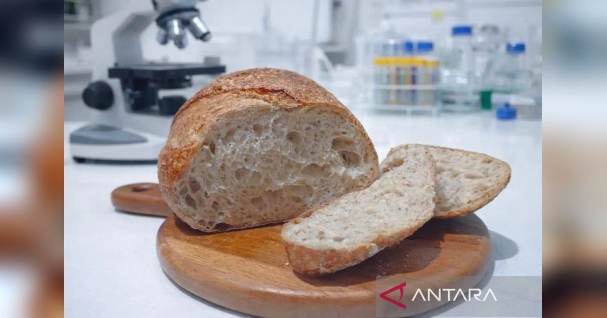 Inovasi BRIN: Sourdough Beras Merah Lokal Gunungkidul Tawarkan Manfaat Kesehatan Unik