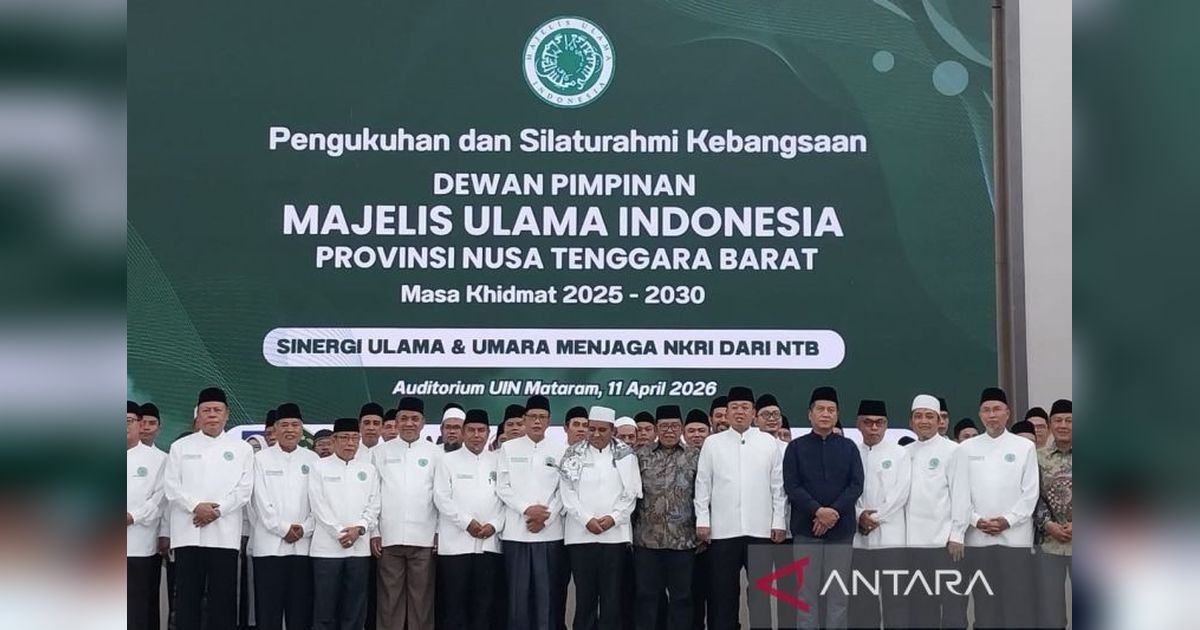 MUI NTB Soroti Judi Sabung Ayam dan Narkoba, Ajak Sinergi Atasi Masalah Keumatan