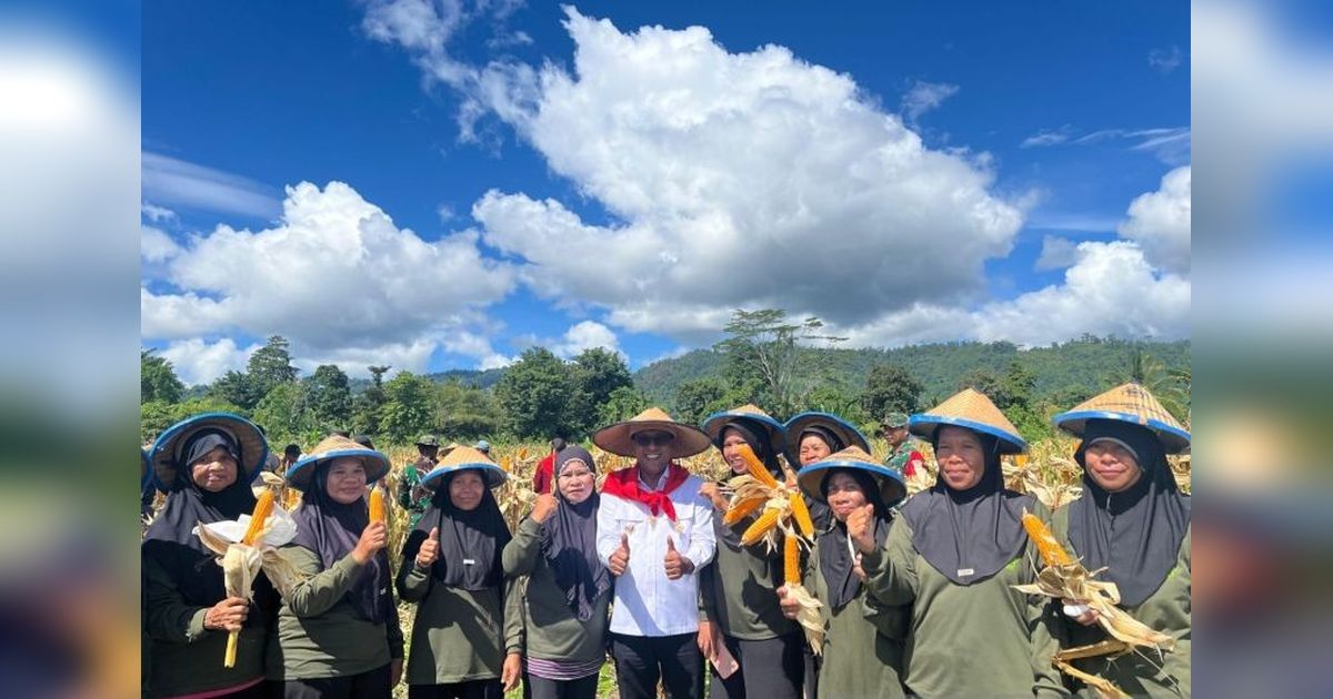 Maluku Tengah Perkuat Swasembada Pangan, Panen Jagung di Tehoru Jadi Bukti Nyata