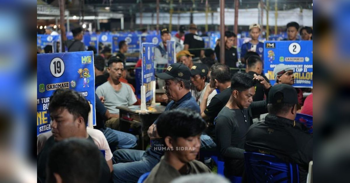 Turnamen Domino Sidrap 2026 Sukses Gaet Ribuan Peserta, Dorong Ekonomi Lokal