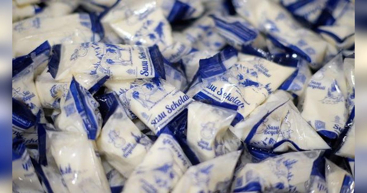 Program MBG Dongkrak Produksi Susu Lokal Boyolali Capai 2.000 Liter per Hari