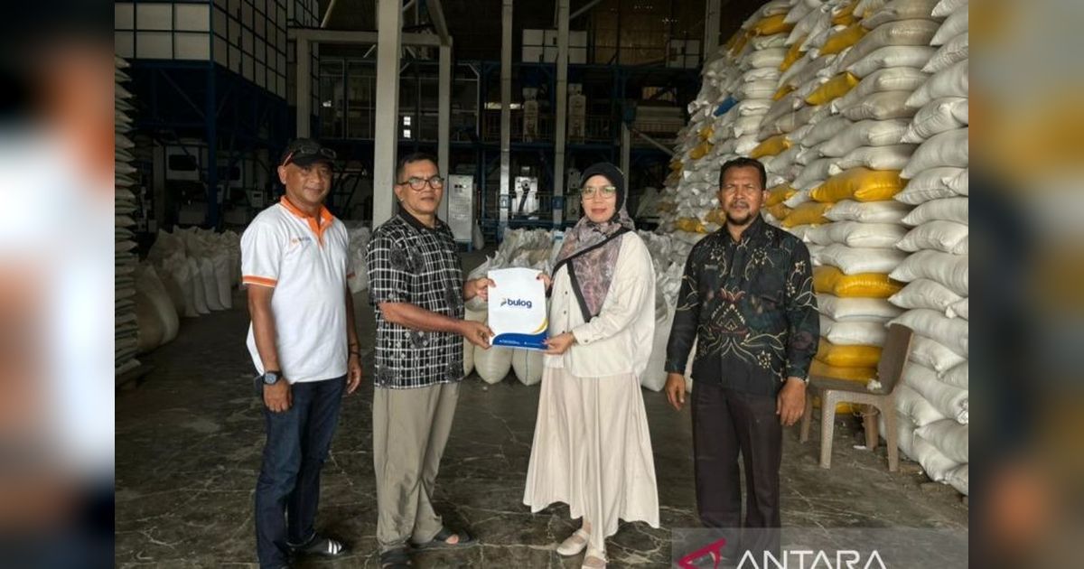 Bulog Blangpidie Prioritaskan Penyerapan Beras Lokal dengan Standar Kualitas Tinggi