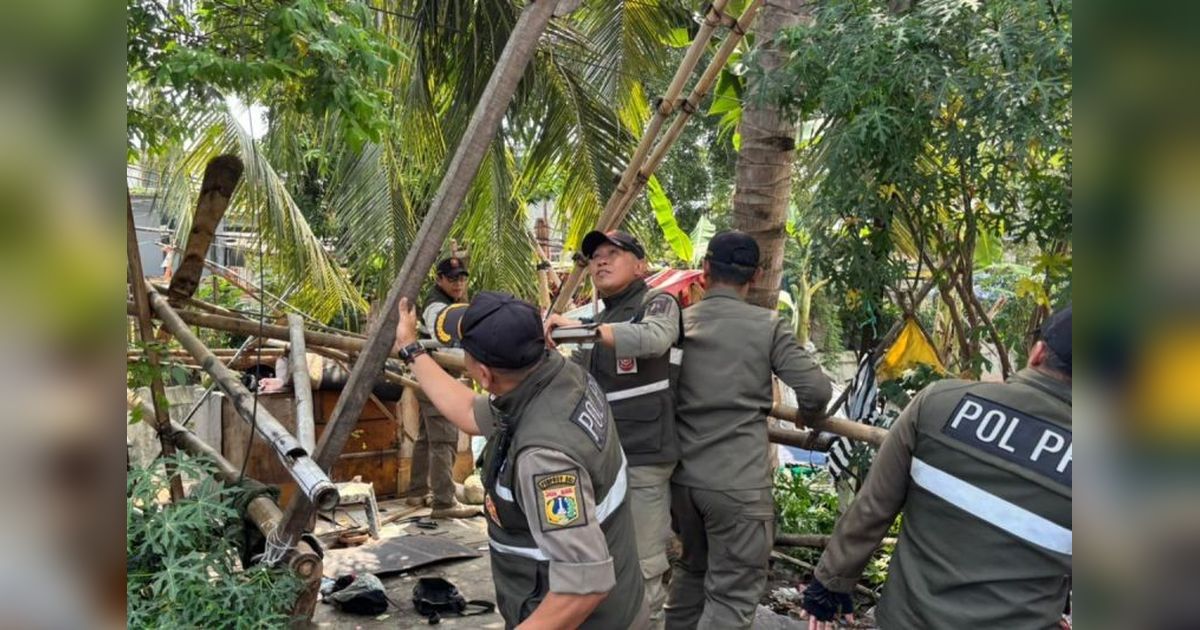 Satpol PP Tertibkan Bangunan Liar Jakarta Pusat, Eks Lokasi Minuman Keras Disulap Jadi Taman