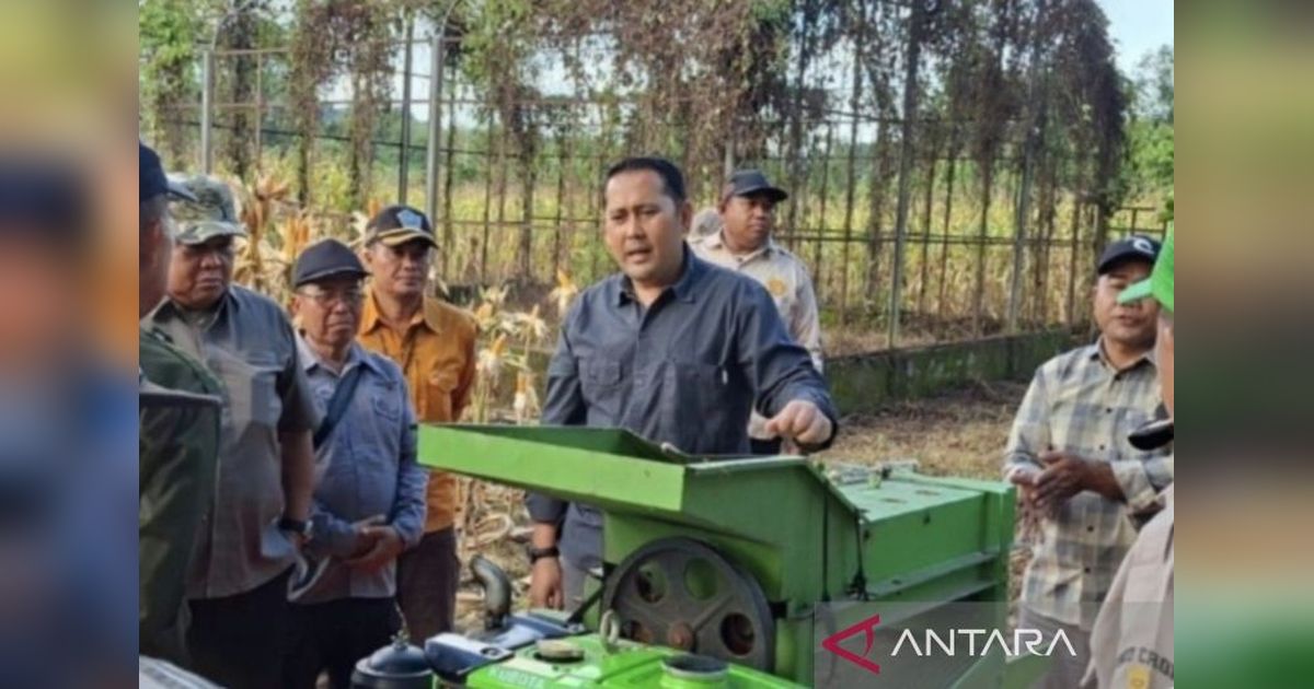 Dorong Edukasi Pertanian Merangin, Bupati Syukur Ajak Generasi Muda Kenali Sektor Agraris
