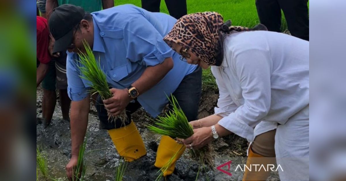 Dukung Ketahanan Pangan, Legislator Jabar Dorong Peningkatan Panen Petani Cirebon Tiga Kali Setahun