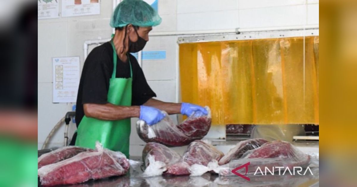 PPN Ambon Perkuat Kualitas Ekspor Perikanan Ambon Melalui Inspeksi Rutin