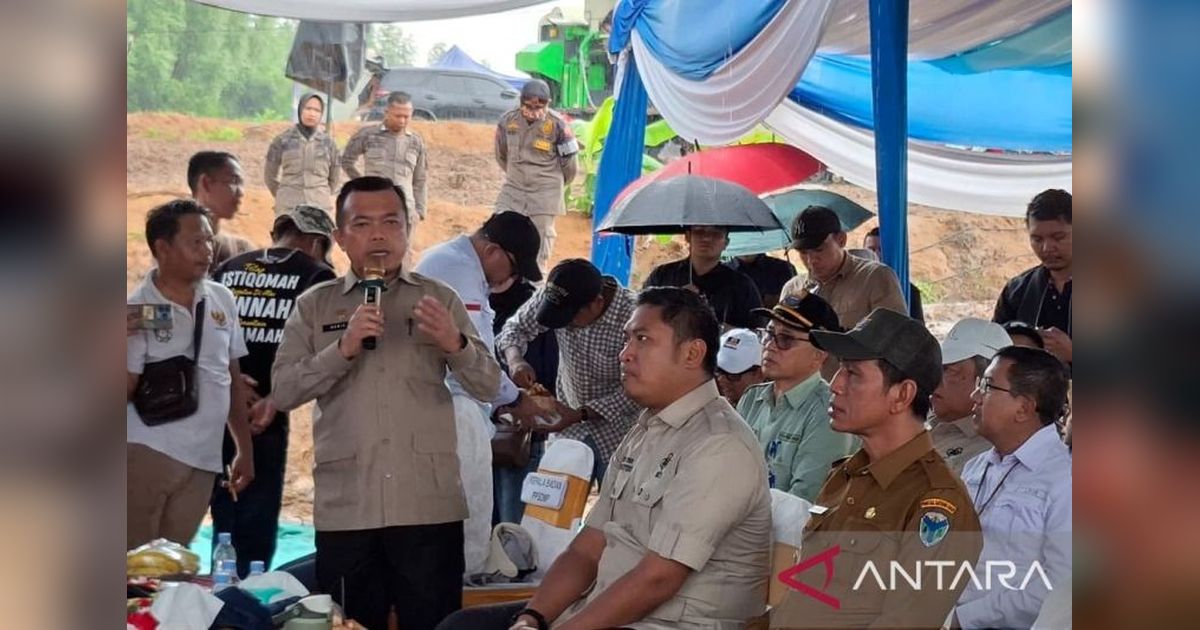 Jambi Optimis Capai Swasembada Beras Melalui Kolaborasi dan Percepatan Tanam