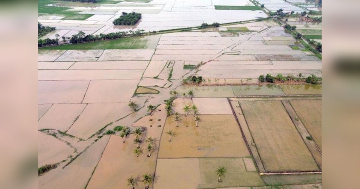 Satgas PRR Percepat Rehabilitasi Sawah Terdampak Bencana di Sumatera