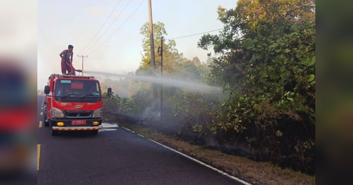 Pemkab Natuna Berhasil Padamkan Kebakaran Lahan 17 Hektare di Tiga Lokasi