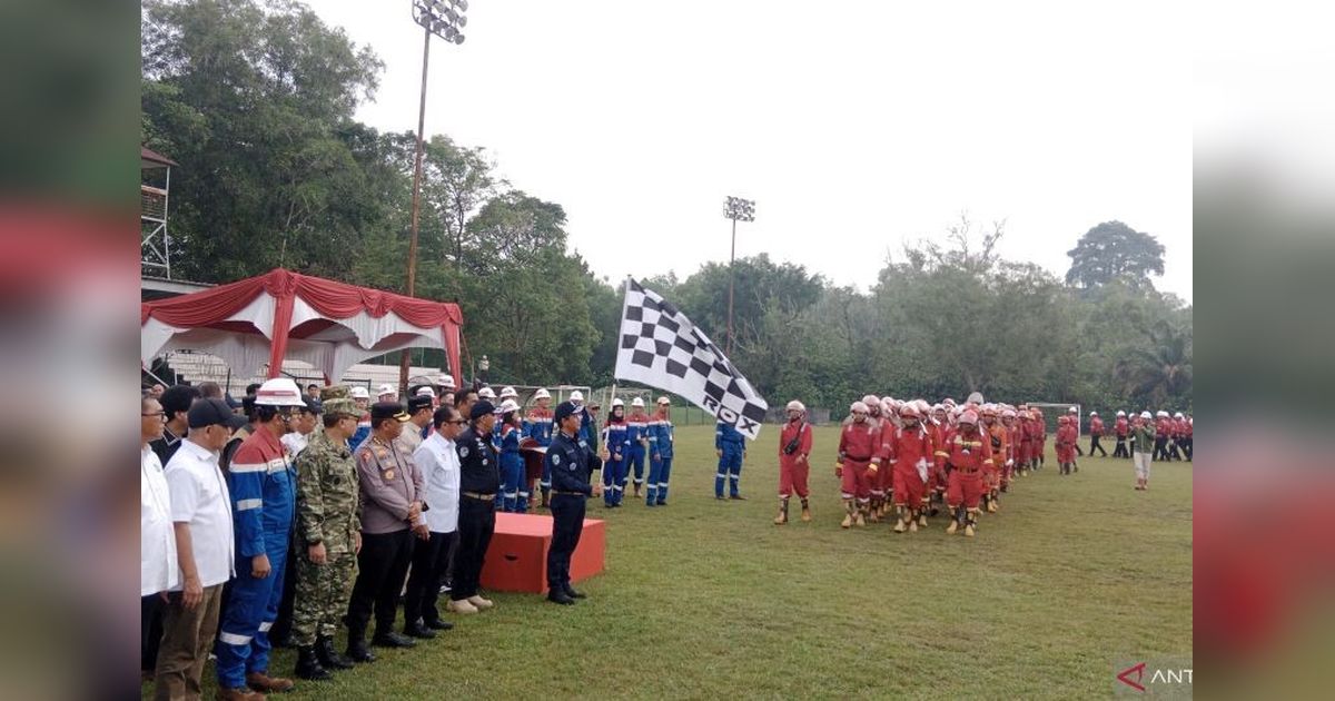 Kementerian Lingkungan Hidup Catat Tujuh Titik Rawan Kebakaran Lahan Gambut di Riau