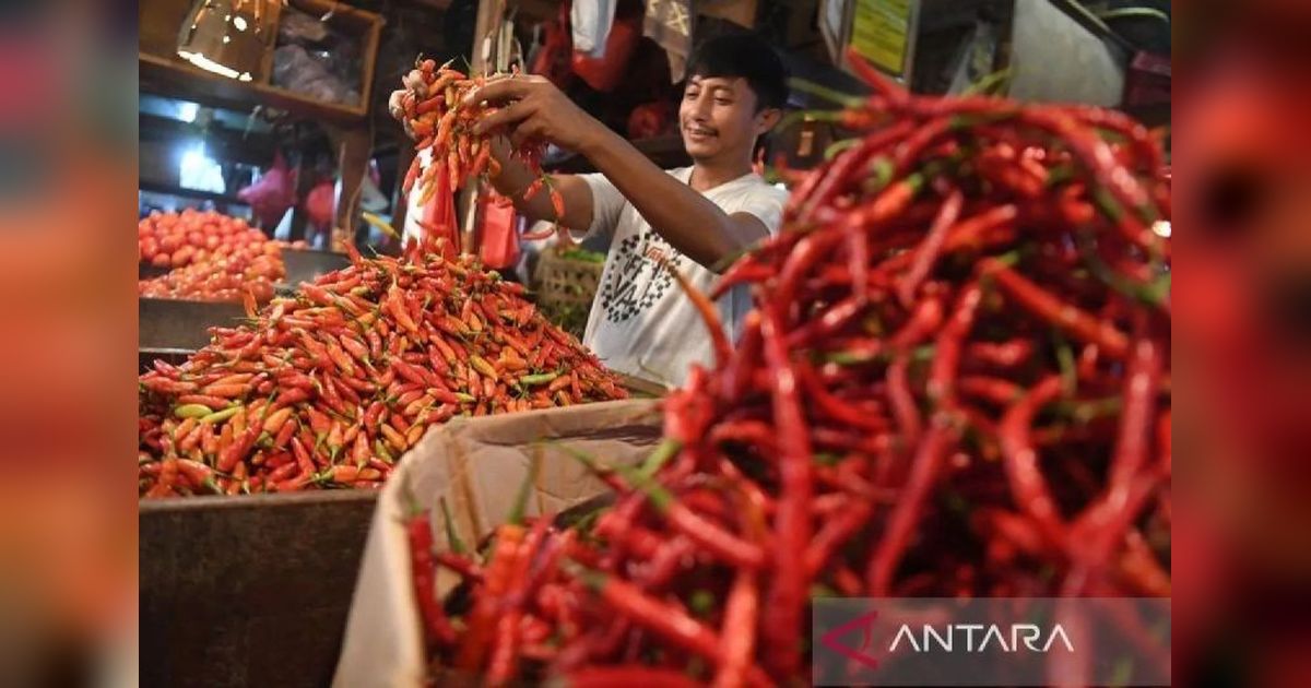 Harga Pangan Nasional Terkini: Cabai Rawit Merah Tembus Rp64.050, Telur Ayam Rp31.950 per Kg