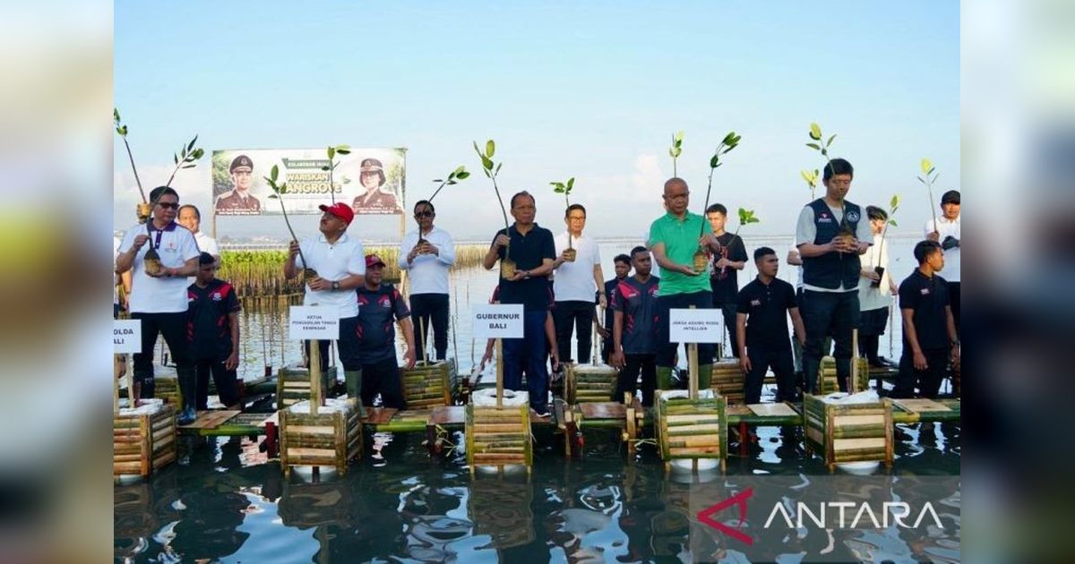 Bupati Badung Pimpin Aksi Penanaman Mangrove, Perkuat Komitmen Pelestarian Lingkungan