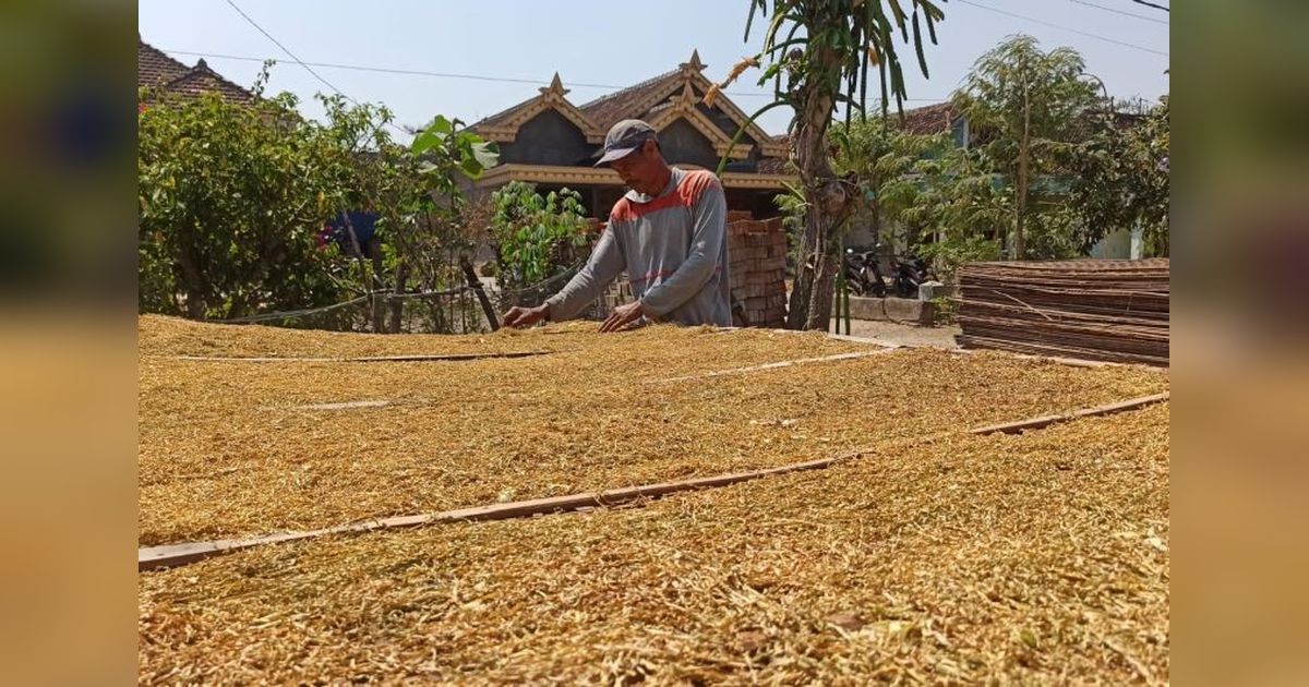 Gapero Soroti Dampak Kebijakan Larangan Bahan Tambahan Rokok Terhadap IHT Nasional