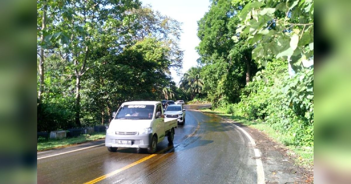 BPBK Aceh Jaya Imbau Warga Waspada Tumpahan CPO Gunung Geurutee