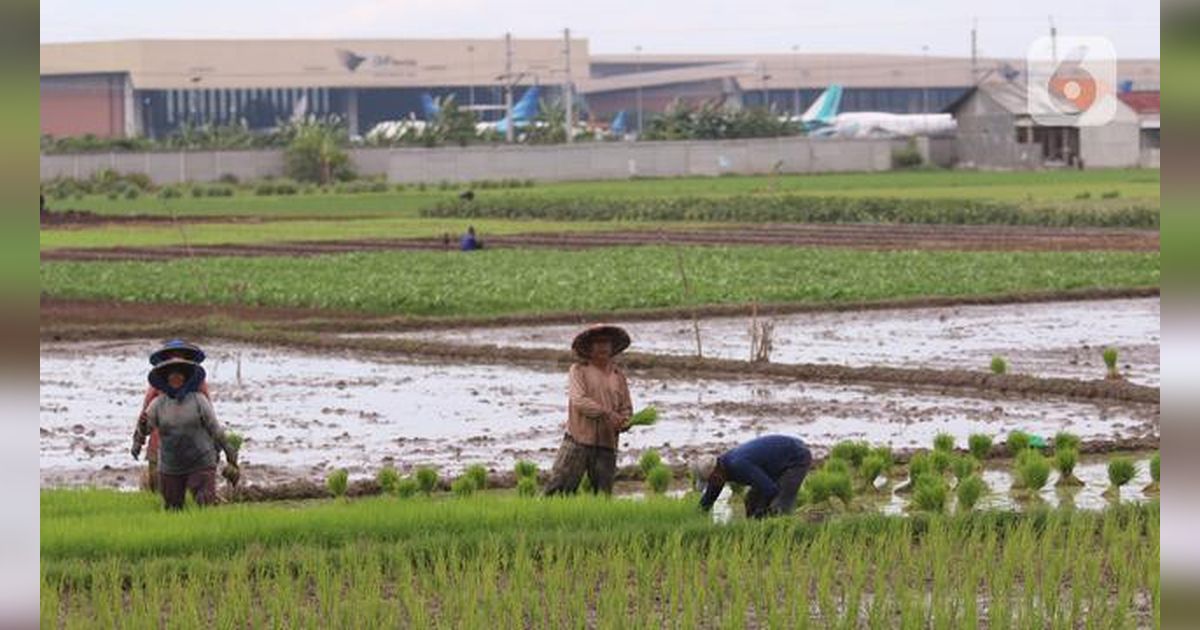 Indonesia Rugi 30 Triliun per Tahun Akibat Pangan Tak Aman