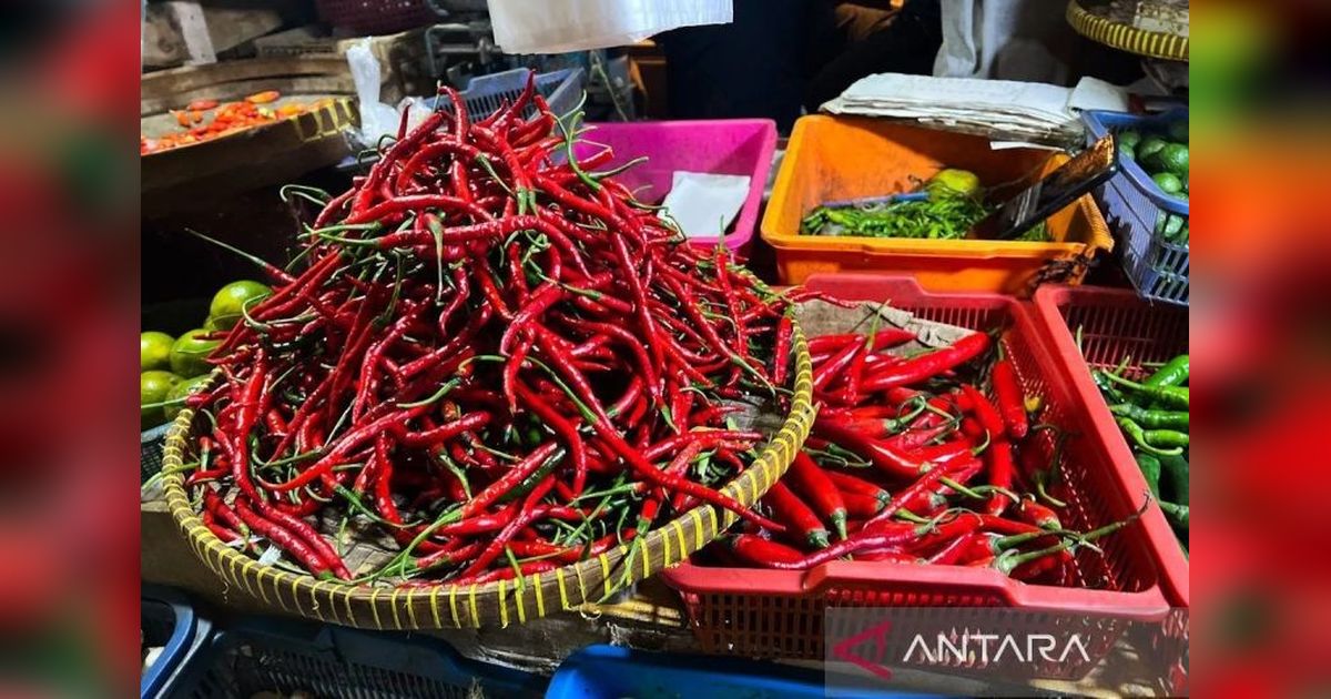 PIHPS Catat Kenaikan Harga Pangan: Cabai Rawit Tembus Rp60.000/kg, Telur Ayam Rp31.000/kg