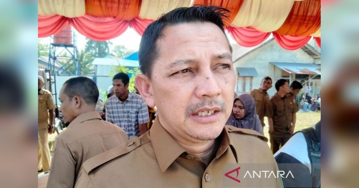 Dinas Peternakan Aceh Temukan Harga Ayam Pedaging Dijual di Atas HET, Konsumen Rugi