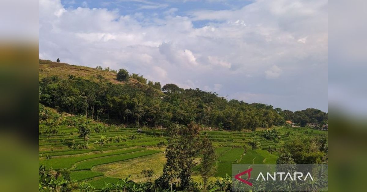 Kesejahteraan Warga Hulu: Kunci Utama Pengendalian Banjir Bandung Raya
