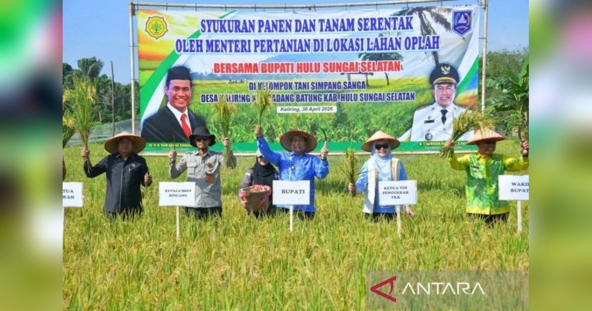 HSS Gelar Syukuran Panen dan Tanam Padi Serentak 2026, Perkuat Kemandirian Pangan Daerah
