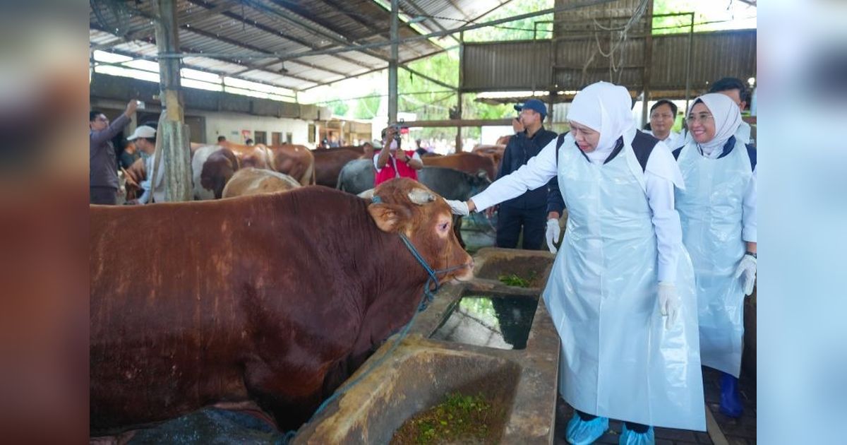 Pemprov Jatim Kerahkan Tim Pemeriksa Kesehatan Hewan Kurban Jelang Idul Adha 2026