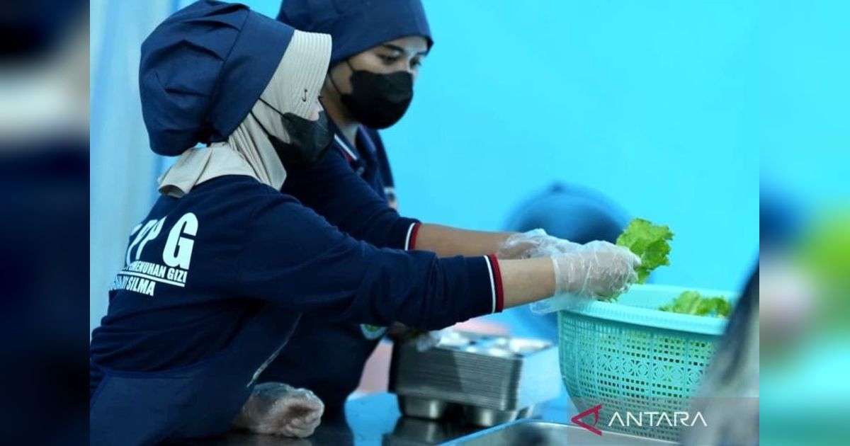 Peningkatan Program Makan Bergizi Gratis di Bogor: Chef Bersertifikat Dongkrak Jumlah Penerima Manfaat