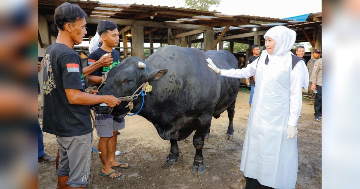 Gubernur Khofifah Dorong Peternak Tingkatkan Kualitas Daging Global Jawa Timur untuk Pasar Ekspor