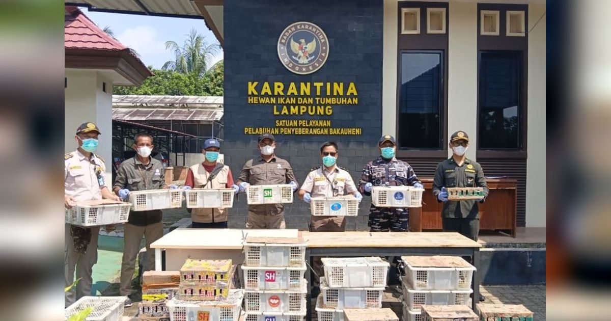 Karantina Lampung Gagalkan Penyelundupan 620 Satwa Liar, Dua Jenis Dilindungi