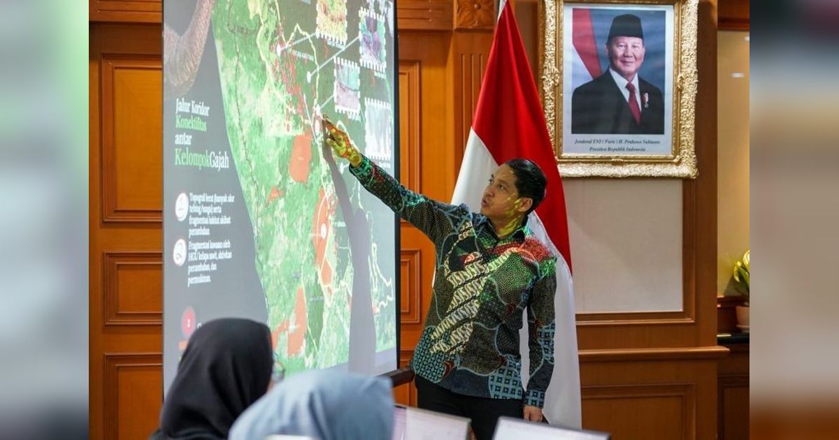 Penyelamatan Ekosistem Kantong Gajah: Komitmen Kuat Pemerintah Jaga Populasi Gajah Sumatera dan Kalimantan