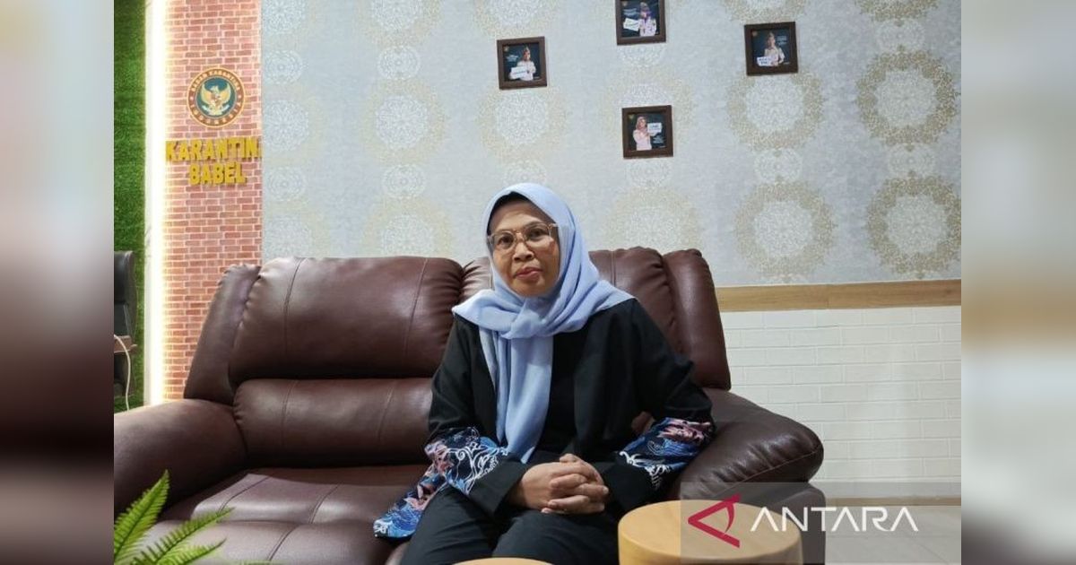 Barantin Pastikan 18.424 Hewan Kurban Babel Bebas Penyakit Jelang Idul Adha 2026