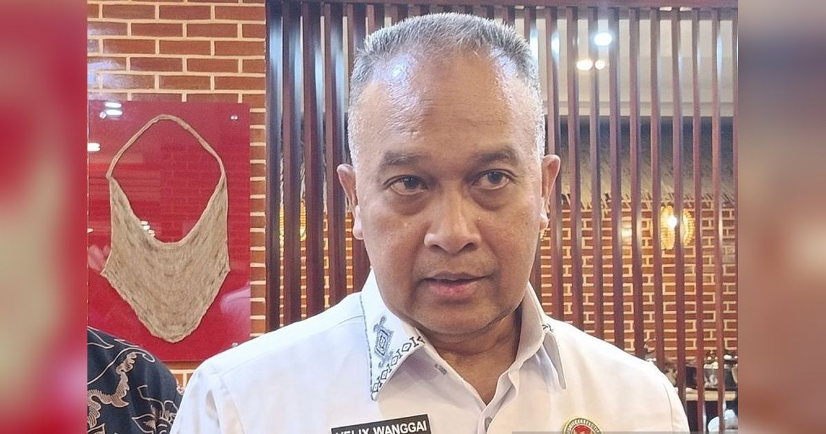 Komite Eksekutif Papua Dorong Percepatan Pemasangan Fiber Optik Papua Pegunungan untuk Akses Internet Merata