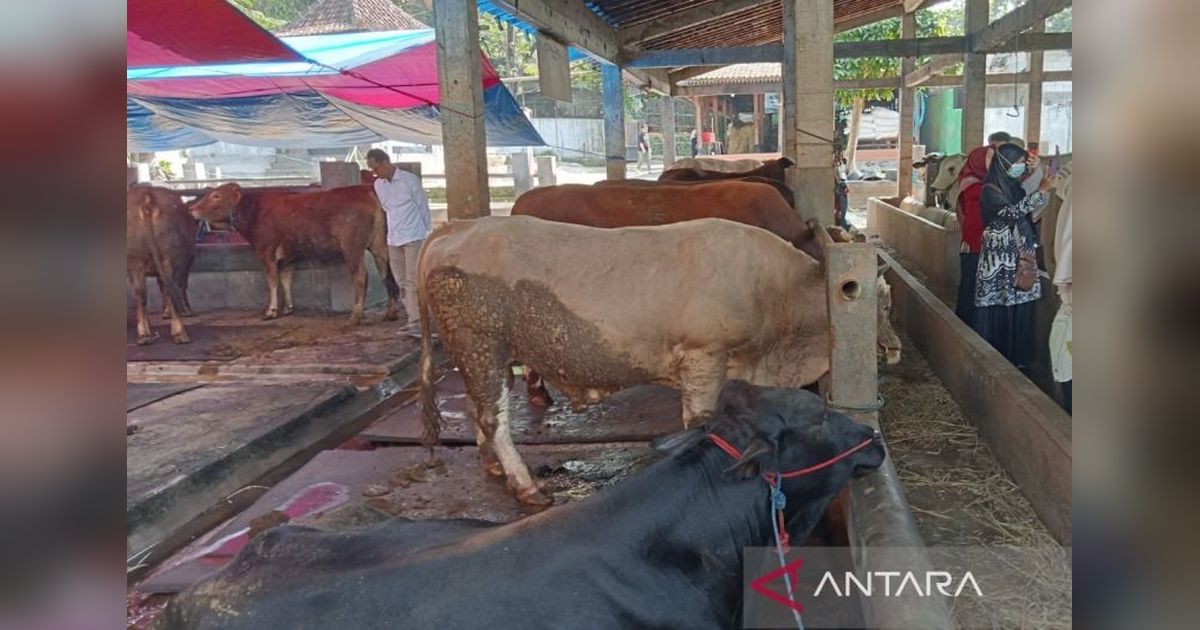 Pakar UGM Tekankan Pelaksanaan Kurban Halal dan Aman Jelang Idul Adha 1447 H