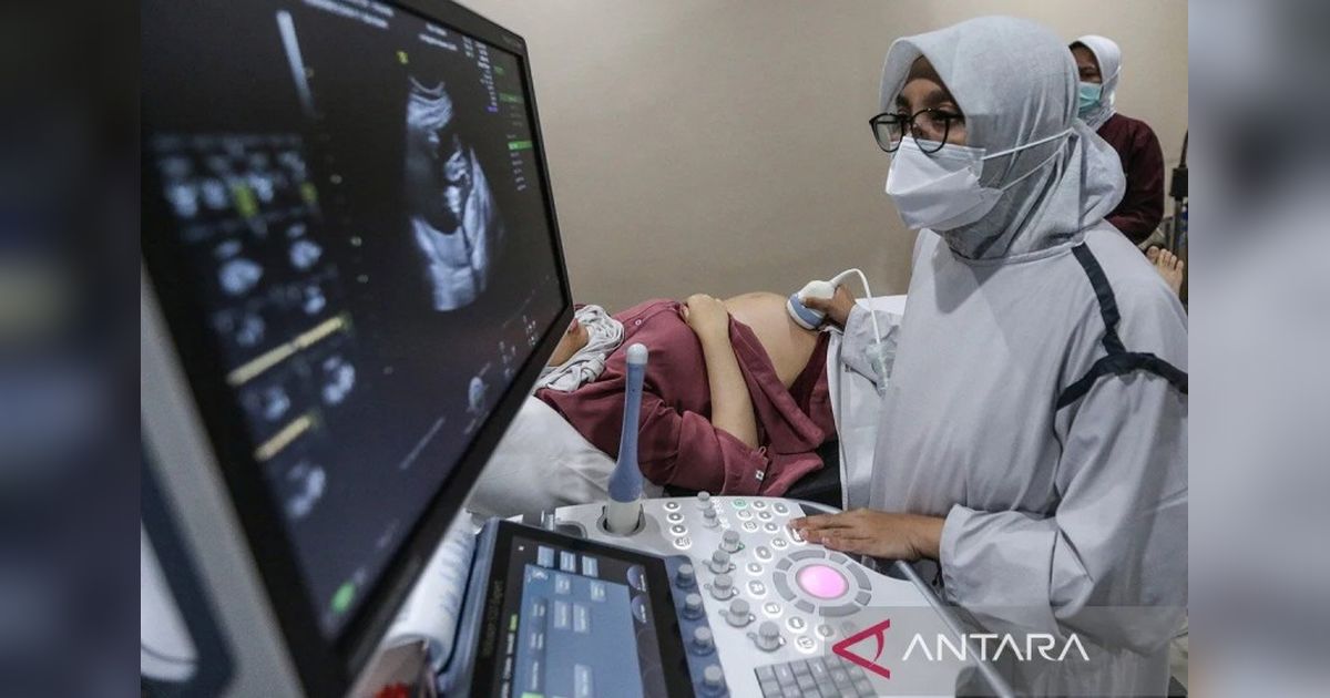 Pemprov DKI Perkuat Kesejahteraan Ibu Hamil Melalui Inovasi Digital dan Peran Kader
