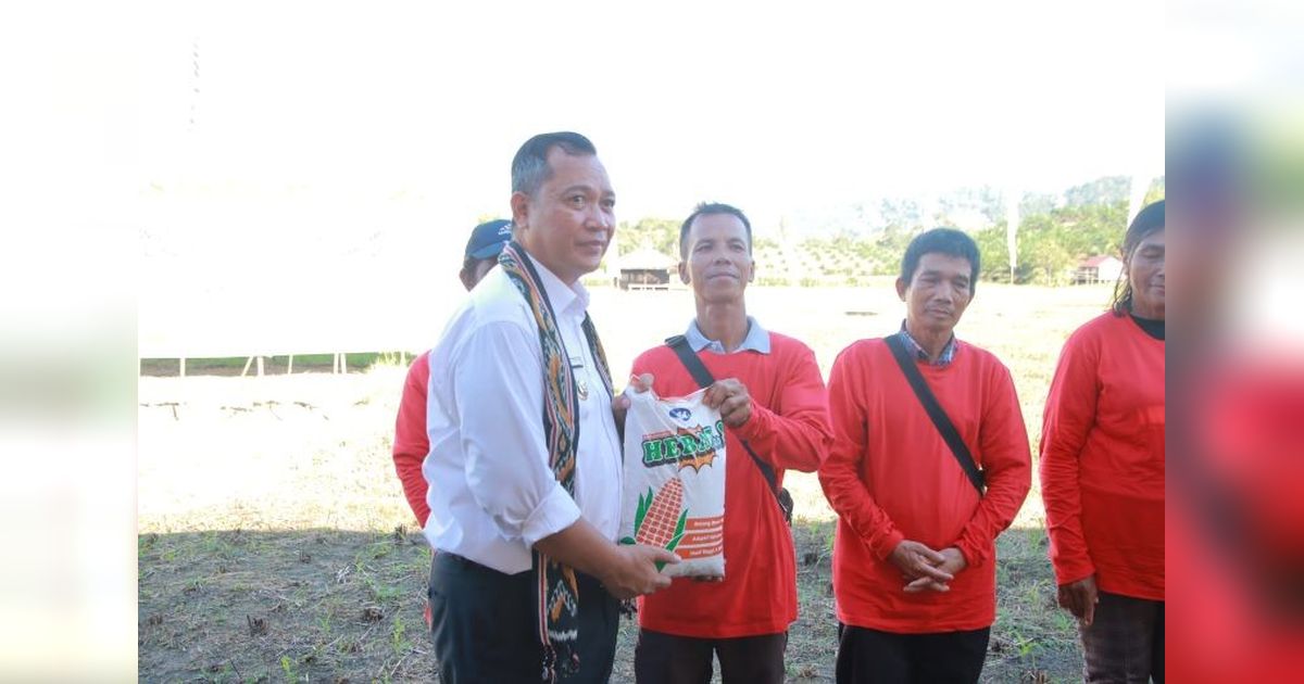 Penguatan Sektor Pertanian Bengkayang: Kunci Ekonomi Daerah dan Swasembada Pangan